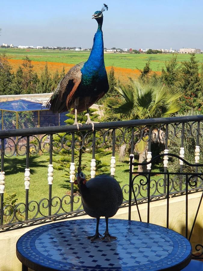 Riad Tanjil Nouaceur Bagian luar foto