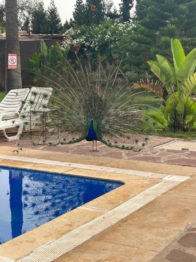 Riad Tanjil Nouaceur Bagian luar foto