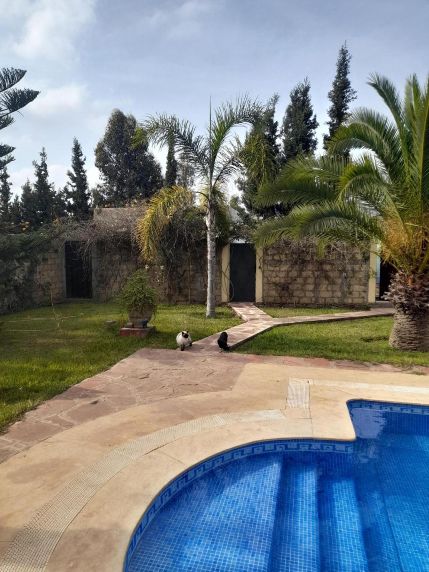 Riad Tanjil Nouaceur Bagian luar foto